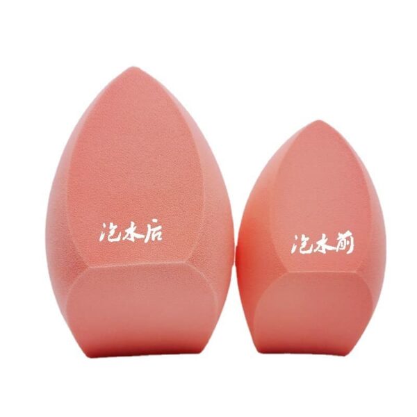 private label pro beauty blender